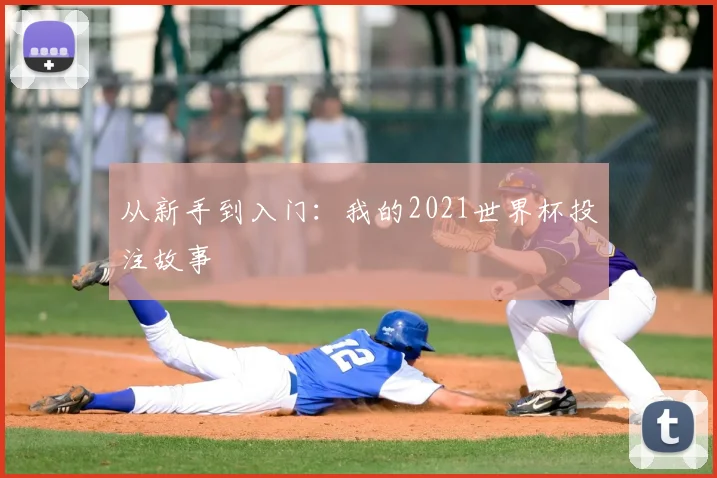 从新手到入门：我的2021世界杯投注故事