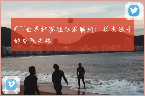 WTT世界杯赛程独家解析:顶尖选手的夺冠之路