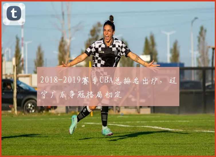 2018-2019赛季CBA总排名出炉,辽宁广东争冠格局初定