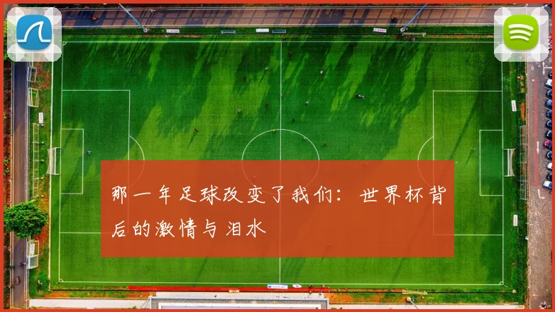 那一年足球改变了我们：世界杯背后的激情与泪水