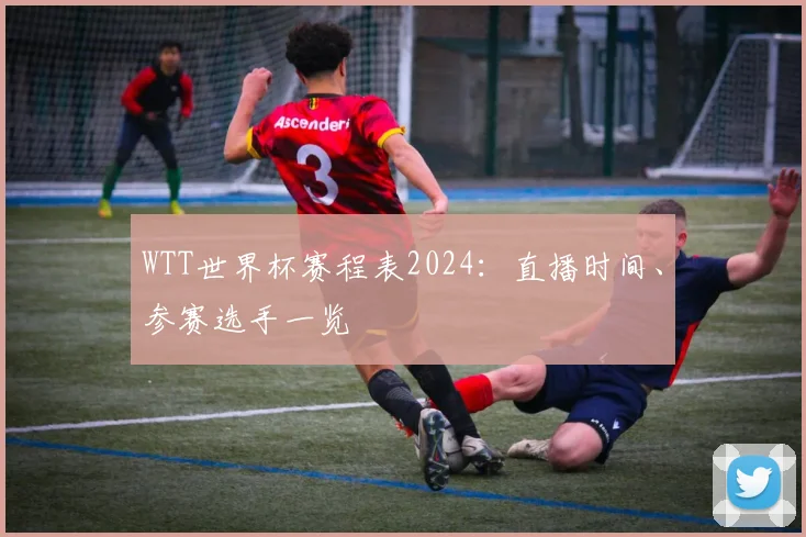 WTT世界杯赛程表2024:直播时间、参赛选手一览