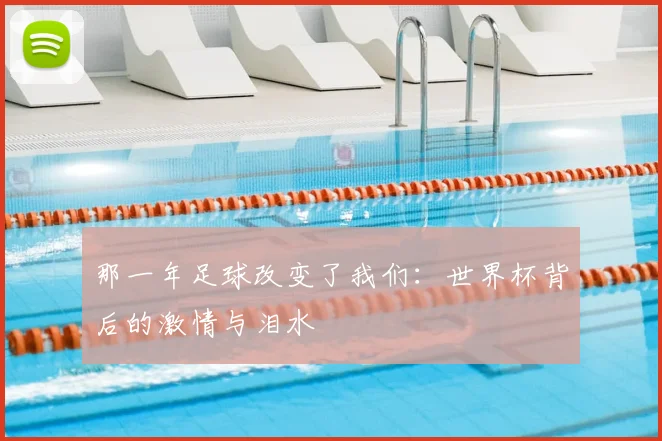 那一年足球改变了我们：世界杯背后的激情与泪水