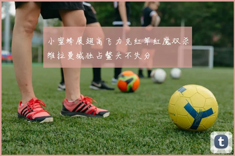 小蜜蜂展翅高飞力克红军红魔双杀维拉曼城独占鳌头不失分