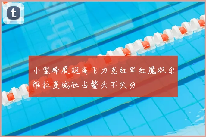 小蜜蜂展翅高飞力克红军红魔双杀维拉曼城独占鳌头不失分