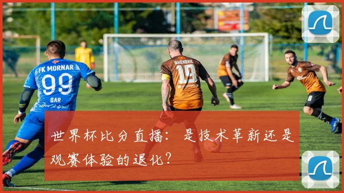 世界杯比分直播：是技术革新还是观赛体验的退化？