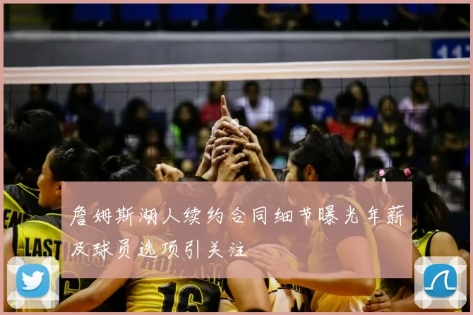 詹姆斯湖人续约合同细节曝光年薪及球员选项引关注