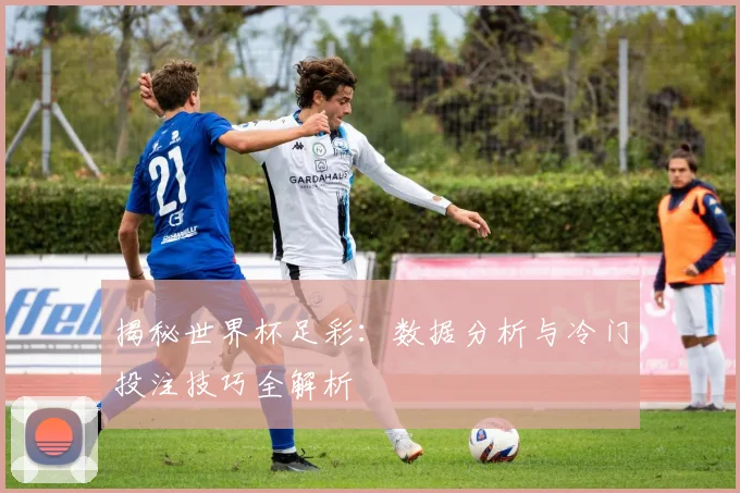 揭秘世界杯足彩：数据分析与冷门投注技巧全解析
