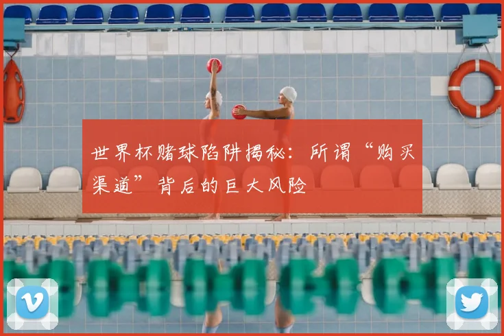 世界杯赌球陷阱揭秘:所谓“购买渠道”背后的巨大风险