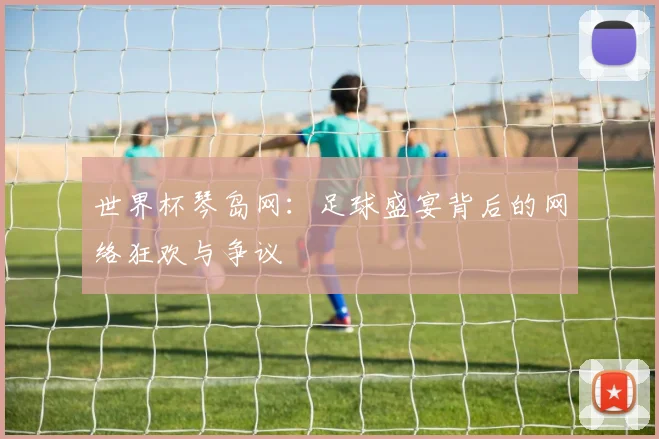 世界杯琴岛网：足球盛宴背后的网络狂欢与争议