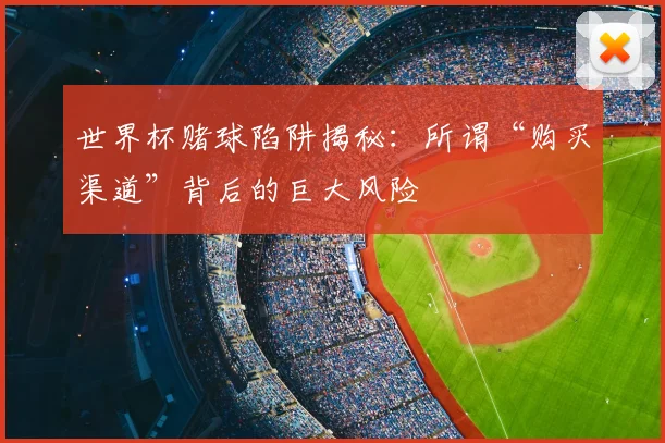 世界杯赌球陷阱揭秘:所谓“购买渠道”背后的巨大风险