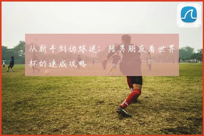 从新手到伪球迷：陪男朋友看世界杯的速成攻略