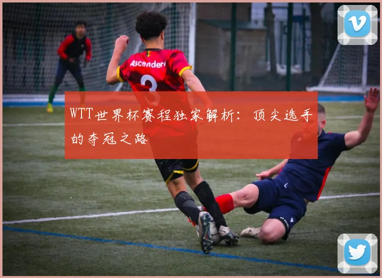 WTT世界杯赛程独家解析:顶尖选手的夺冠之路