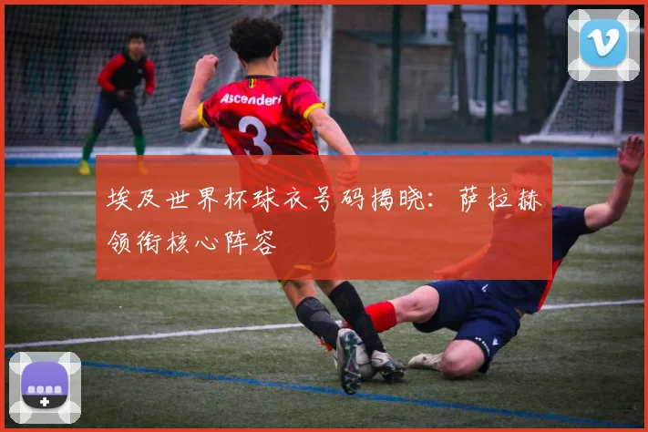 埃及世界杯球衣号码揭晓：萨拉赫领衔核心阵容